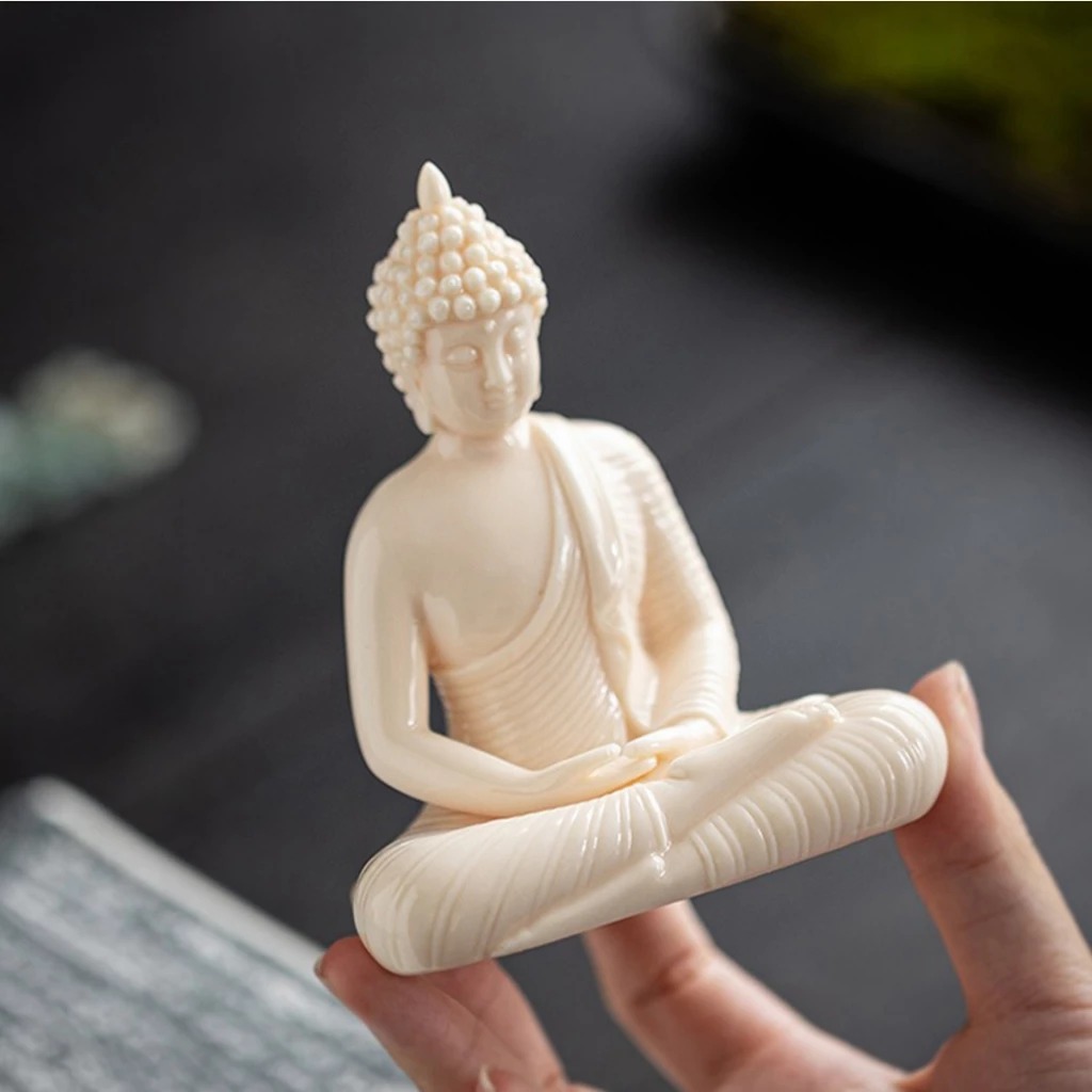 vn-11134207-7ra0g-m7rwf9v6xu2r2b